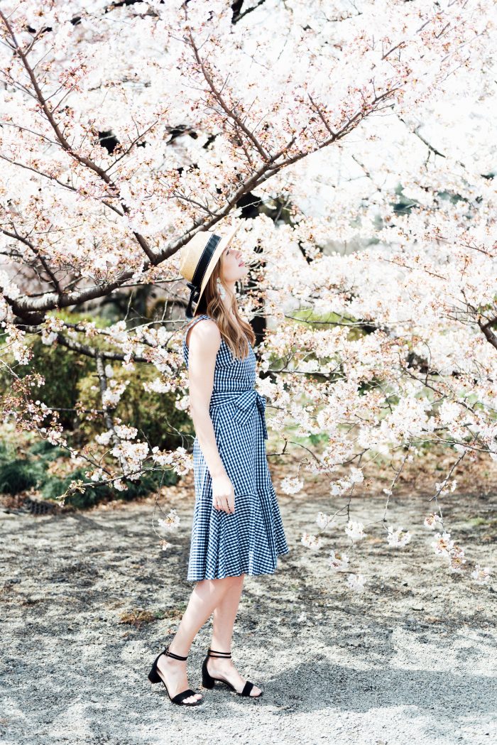 Travel Diary: Sakura in Tokyo - STACIE FLINNER