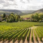 Food and Wine in Burgundy
