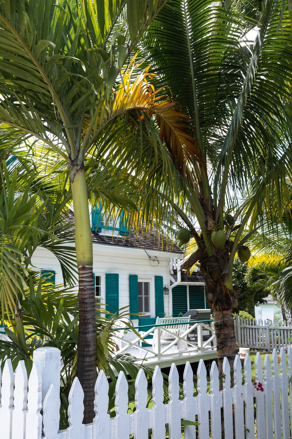 Stacie Flinner Harbour Island Bahamas Travel Guide -21.jpg